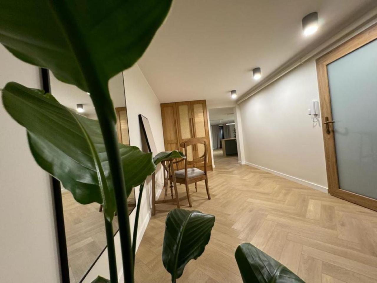 Apartament Ovoc 1.0 Chodzież Extérieur photo